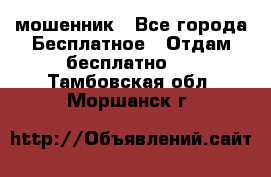 мошенник - Все города Бесплатное » Отдам бесплатно   . Тамбовская обл.,Моршанск г.